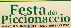 Festa del Piccionaccio