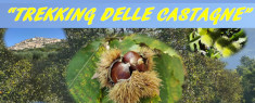 Trekking delle Castagne