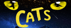 Teatro Lyrick - Cats